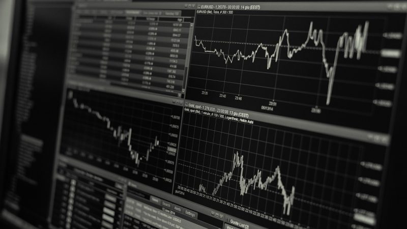 蜜桃仓用户口碑汇总：真实评价与评分分析 配图